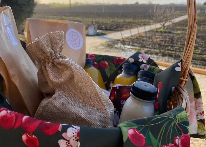 Bed & Breakfast Quinta Da Pontinha Alenquer